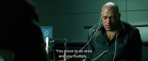 celluloidtoharddrives:  Agent Smith (Hugo Weaving) The Matrix (1999) Written and Directed by Andy and Lana Wachowski  Actually, every mammal - every animal in fact - does that, given the chance. That’s one reason why species go extinct when a new