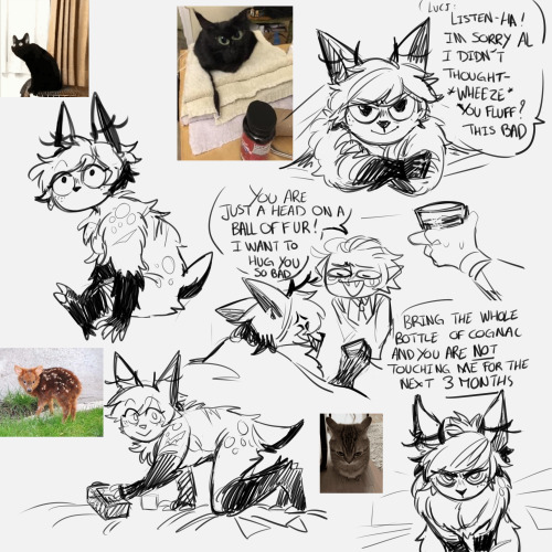The Fluff Arc , My Legacy