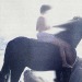 inmyglory:dj lostboi - the blue stallion 