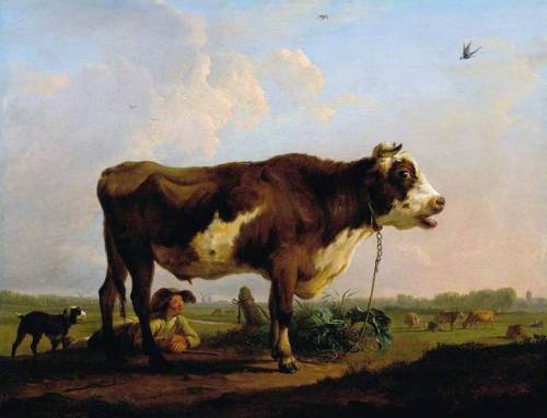 A Bull, Balthasar Paul Ommeganck, before 1785