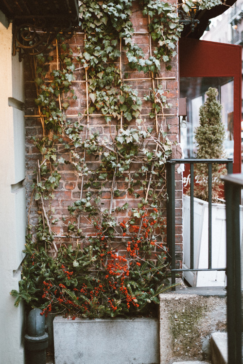 emanuelco:new york. june, 2014.