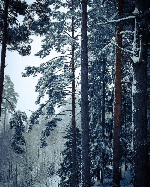 Småland, Jönköping, Sweden by virresfoton