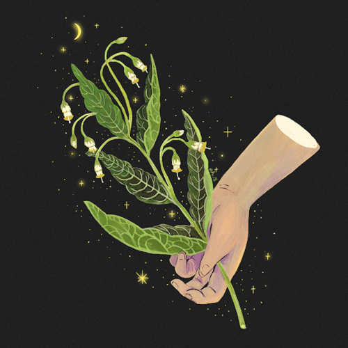 Herbal Hands