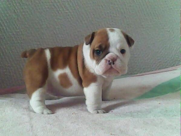 😩 I need this little fella.