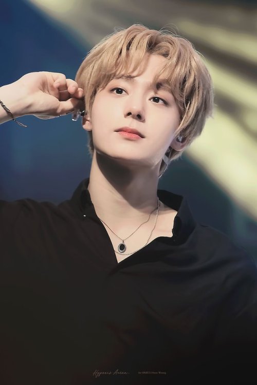 HYPOXIS AUREA » Do not edit.