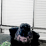 damoninmythoughts-blog:  I’ve missed you. 