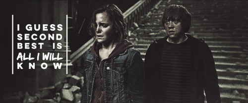 harry x hermione