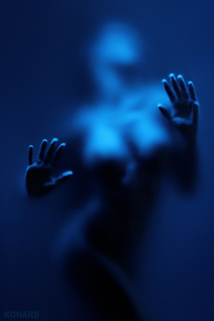 Daria Shy