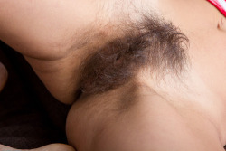 hairymuffsxxx:  More Hairy Muffs HERE