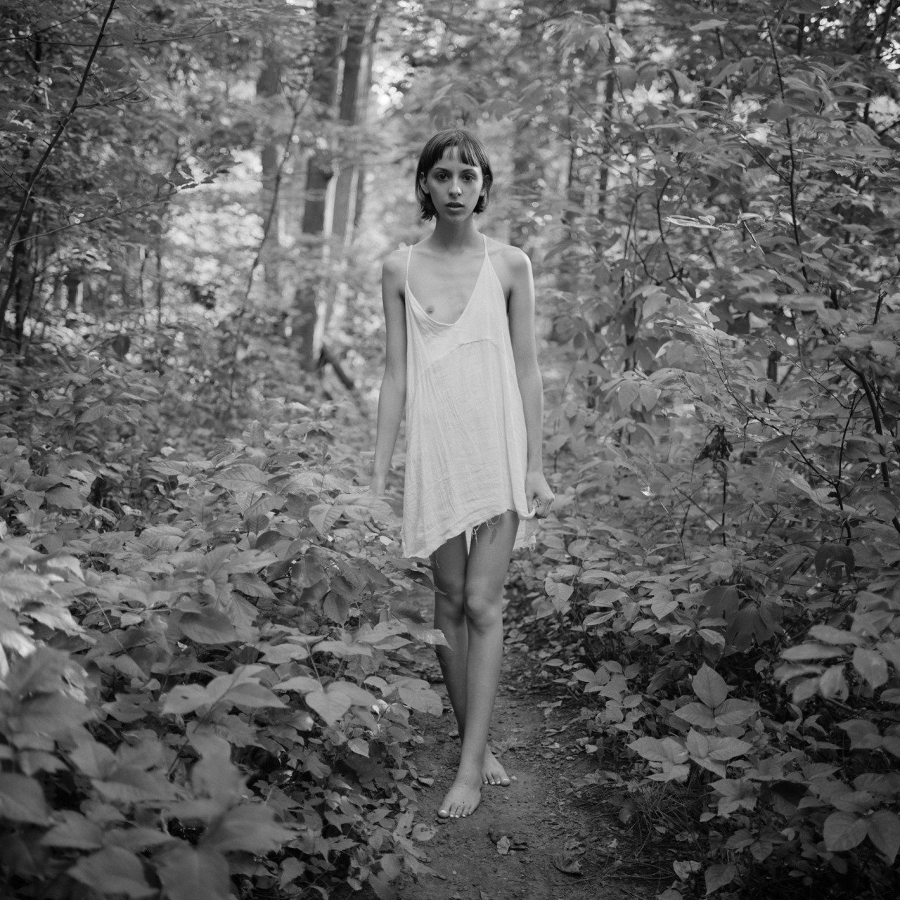 iswya:  Inwood Hill Park - kn-01-15- Purchase signed and numbered gallery quality