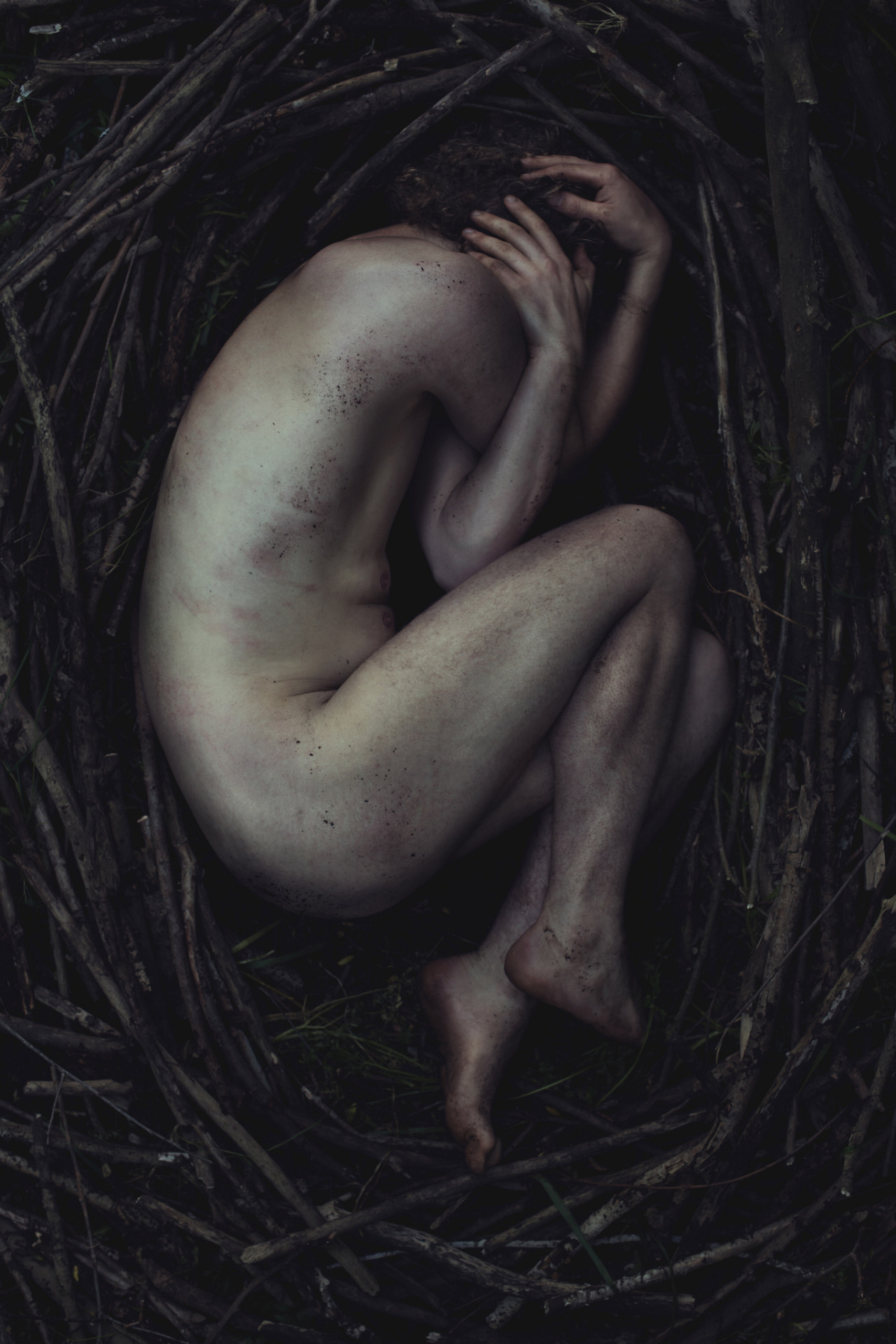 sean-clancy:  Nest by Kelsey Austin Walsh on Flickr. 