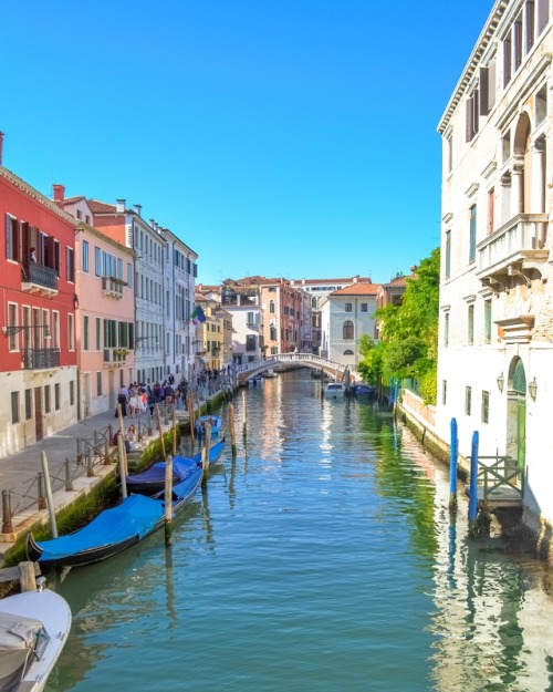 Venice - Italy (by earthpeek) www.instagram.com/earthpeek/