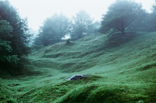 90377:Grassland // Pond by WeiMinChen Photographywebsite | facebook | instagram