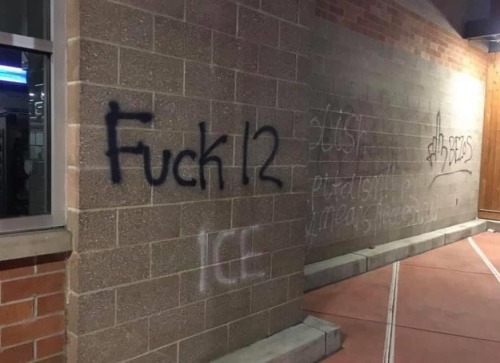 Anti-cop &amp; anti-capitalist graffiti seen around Eugene, Oregon following a protest on July 25, 2