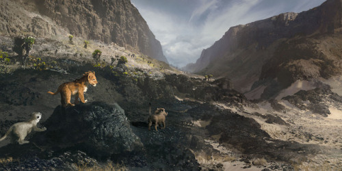 Simba, Pumbaa and Timon begin their adventure into the cloud forest in Disney’s Lionking 2019.