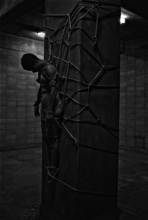 kinokohajime:  I tied girl with a pillar. Rope Hajime Kinoko  my web http://shibari.jp Photo Arno Bouchard his web www.arnobouchard.com