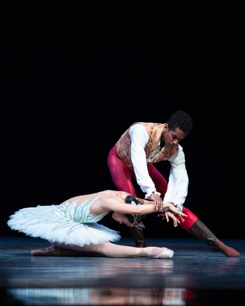 angelica generosa and jonathan batista photographed performing as odette and prince siegfried in swa