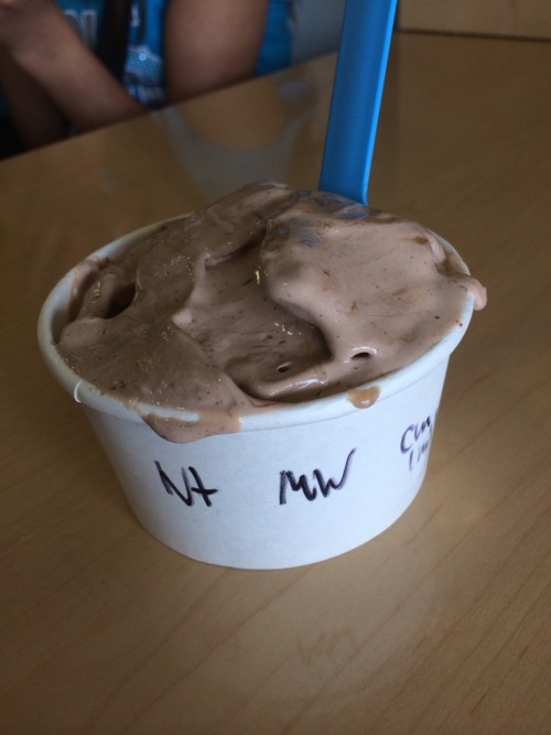 intellectual-tipster: So by my house is an ice cream place called ChillN. It makes ice cream that&rs