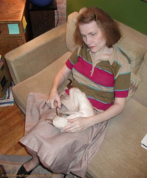 4lung: Trans electronic music pioneer Wendy Carlos chillin’ w/ her pets: the masterpost