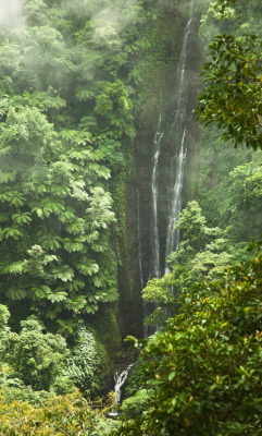 faery-land:  4nimalparty:  Papapapaitai waterfall