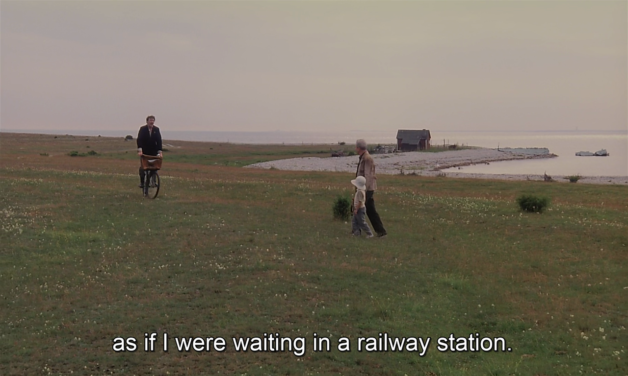 timotaychalamet: The Sacrifice (1986) dir. Andrei Tarkovsky