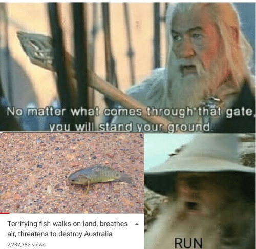 Can I get a F for Australia?