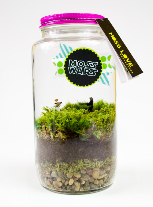 Moss Wars Terrarium from the Etsy Store of Moss Love Terrariums here. There are really fun and creat