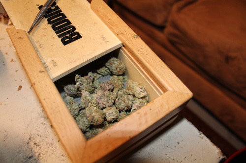 purple haze