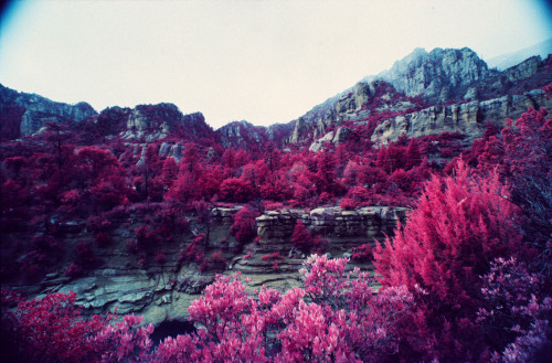 The Great American Southwest - Sedona, Arizona (December 2014) Kodak Ektachrome Infrared (EIR)