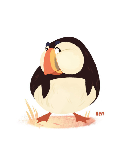 I think Puffins are underrated. They are like penguins, but with naturally cartoonish expressions, i