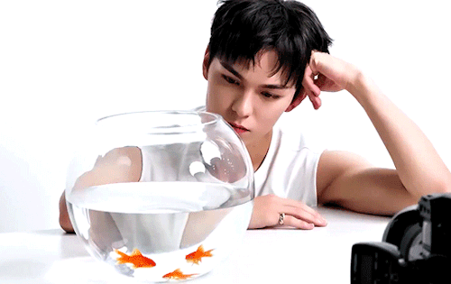 VERNON (DEAR VER.)'17 IS RIGHT HERE' JACKET BEHIND THE SCENES