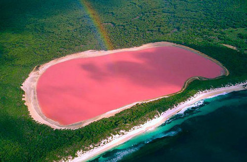 romosity:  Lake Hillier, Western Australia: A naturally pink lake 