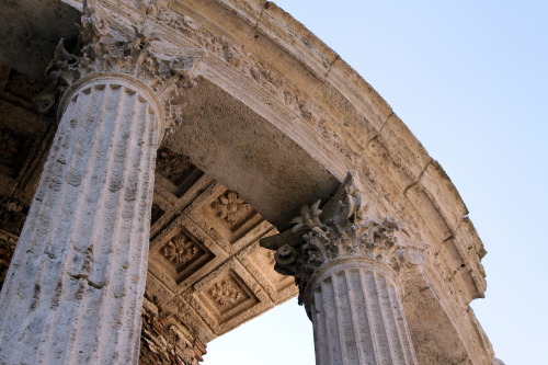 echiromani:Corinthian columns on the Temple of Vesta in Tivoli. The comparatively good condition of 