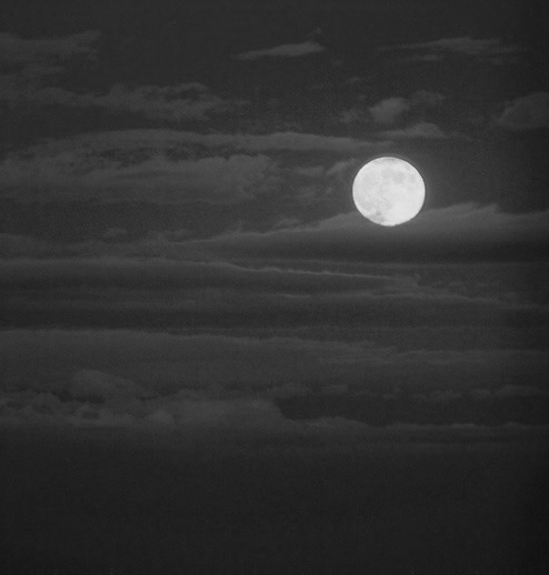Elegy for a Dream