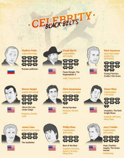 sifukuttel:  Black Belt Celebrities info graphic!!!