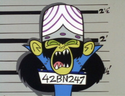 powerpuff-save-the-day:  Mojo Jojo Mugshots