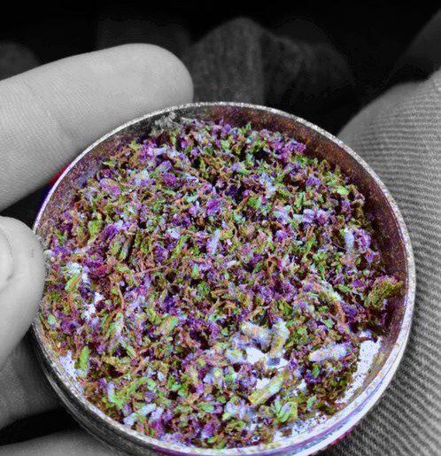 Dabz