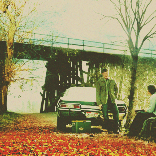 lemondropsonice:S11 Countdown: 35 days or “The one about Autumn scenery” - 4x13