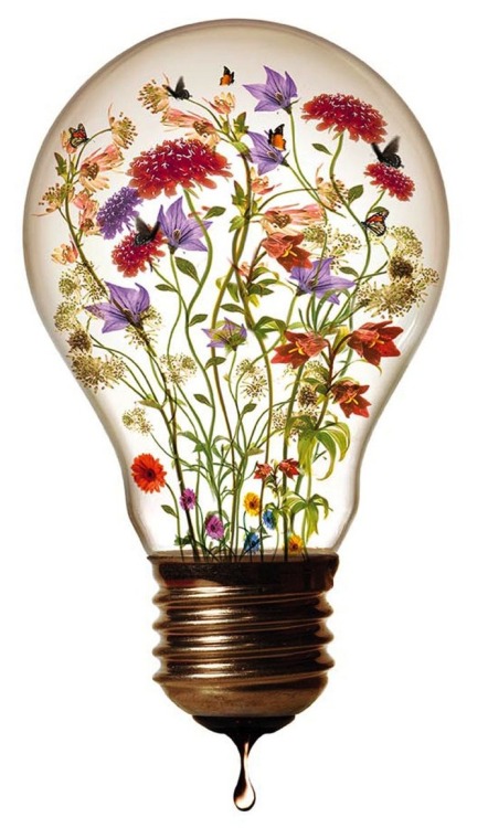 Paga DissenyEureka incandescent lightbulb with a tangle of wildflowers trapped inside for Tarrida Wi