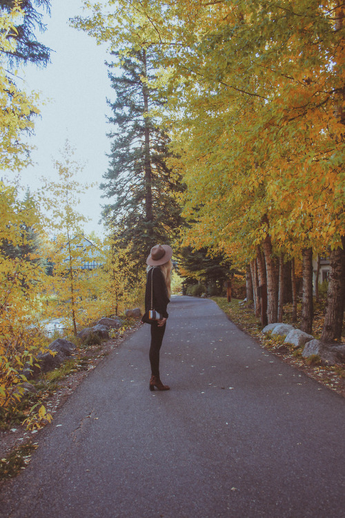 there is nothing better than fall in the mountains  /  new blog post