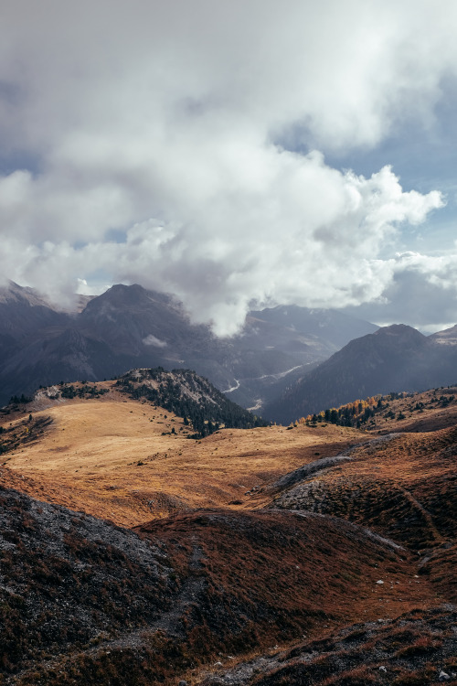 swiss national park, zernez.