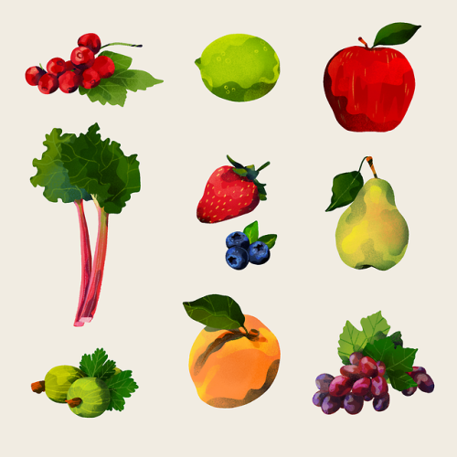 I wanted to draw a bunch of fruits and vegetables for a while now and finally got to it. I also can&