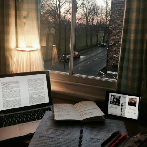 i-live-for–the-aesthetic - tired gay psychology student...