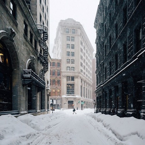 melodyandviolence: Boston ( January 2015- Juno) by brad romano