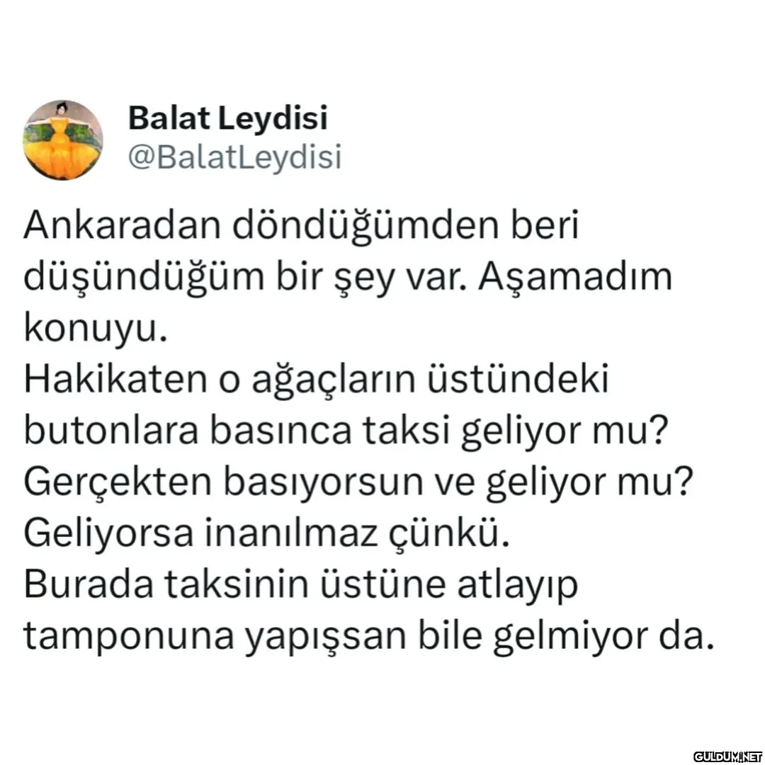 Balat Leydisi...