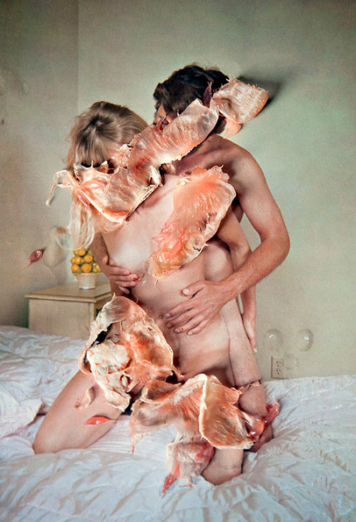 vvni:  The pulp of pulp by Bridget Collins 