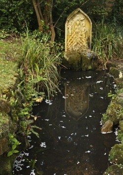 Benedicite cete Domino   &ldquo;The springs of water were made holy when Christ appeared on earth. Draw water from the wells of the Saviour: Christ our God has made the whole creation holy.&rdquo; - Lauds antiphon for the feast of the Baptism of the Lord,