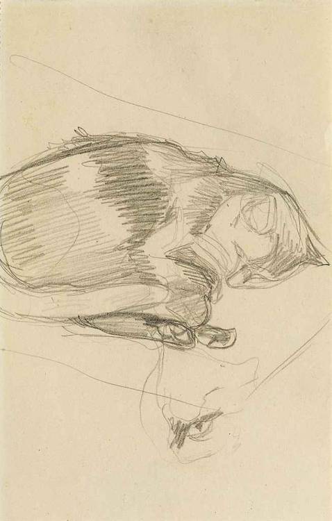  Cats study (back two cats studies)   -    Ernest BielerSwiss, 1863-1948pencil on paper , 17 x 10.7 