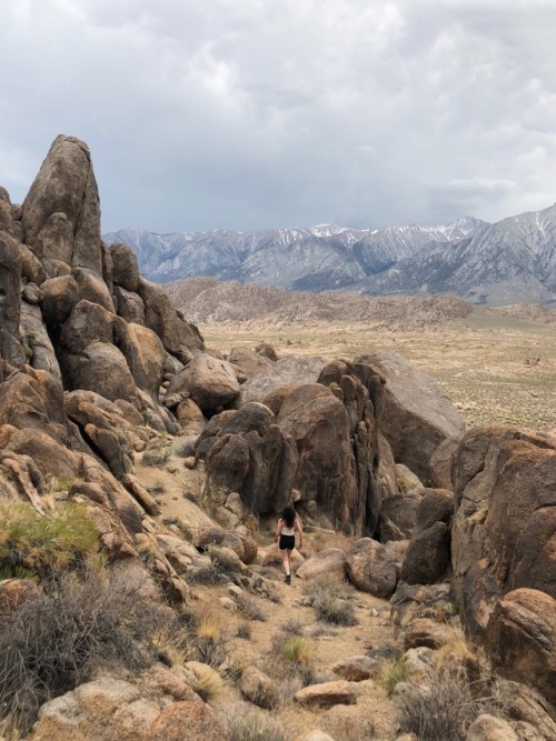 coffee&ndash;queen: Yesterday was nice. Mammoth hot springs &amp; Alabama Hills