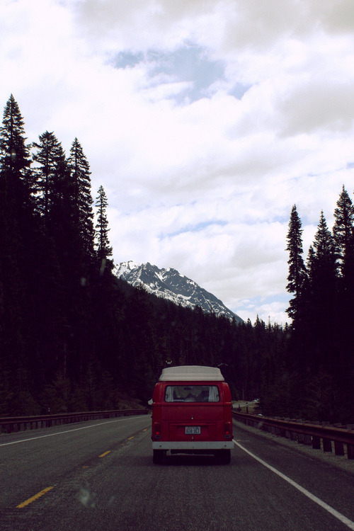kushandwizdom:  More pictures here